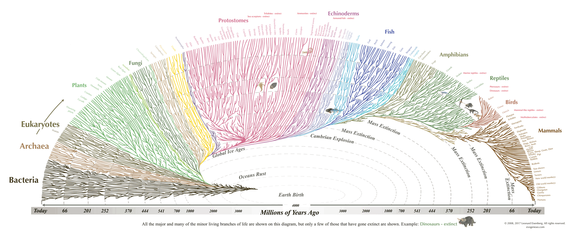 Notice the timescale is not linear. We have to wait 3.5 billion years until the Cambrian Explosion creates the first backboned animals and another 200 million years for backboned animals to emerge on land. From evogeneao